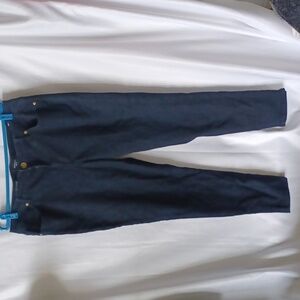 Nine West Womens 16  Denim Blue Jeans Skinny Cigarette Fit Dark Wash Stretch Mid